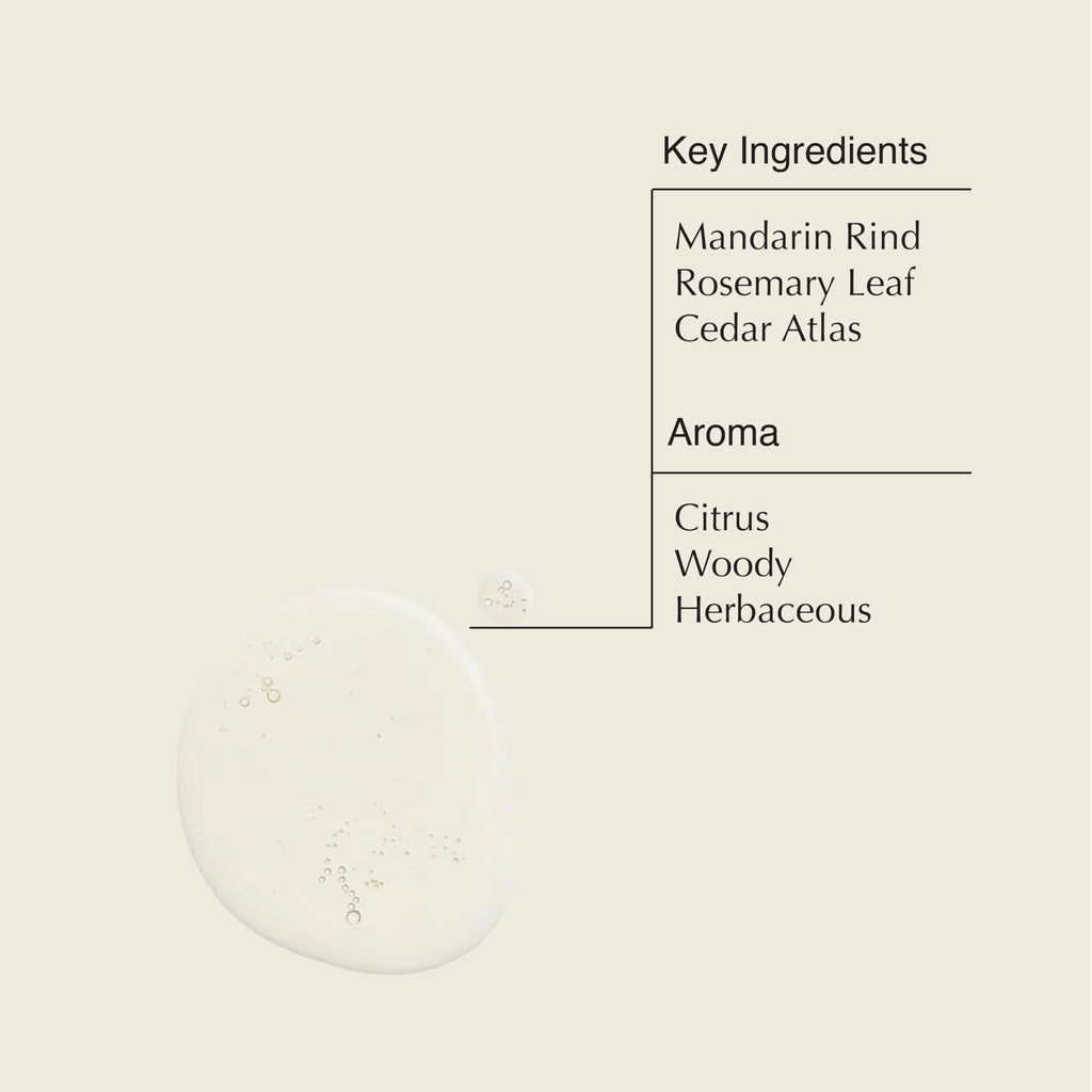 Aesop Resurrection Aromatique Hand Wash | Gentle Cleanser with Orange, Rosemary and Lavender Oils | 500mL / 16.9 oz (Pack of 3)