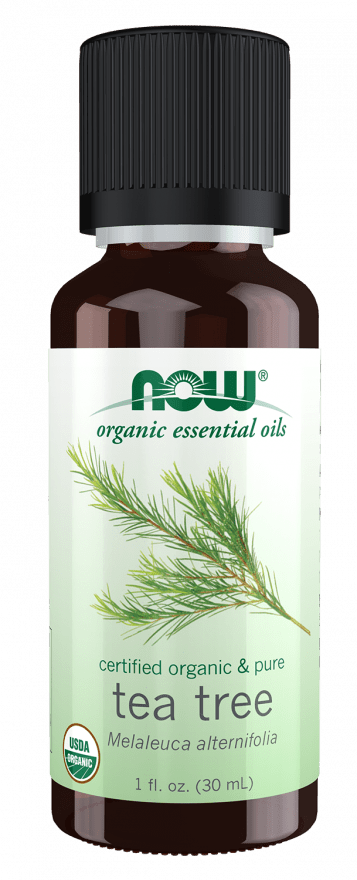 Bottle of NOW Organic Essential Oils Tea Tree oil on a green background